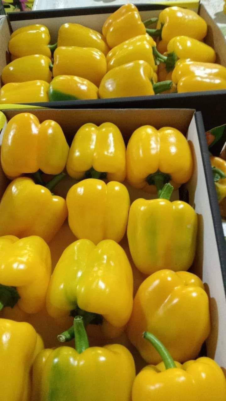 Logistics & Shipping